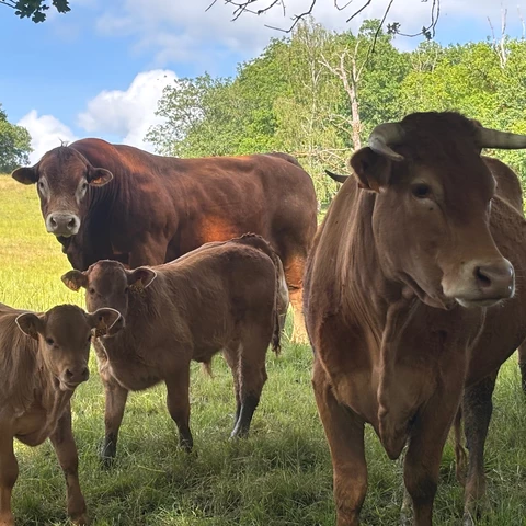 La Ferme De La Bauberie