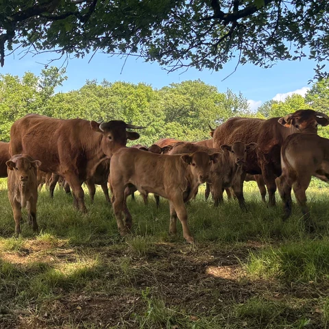 La Ferme De La Bauberie