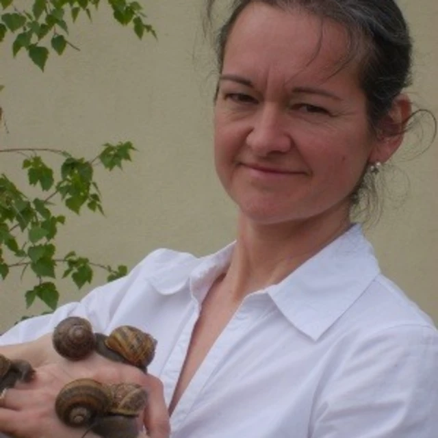 Galerie - Les escargots de Montvendre