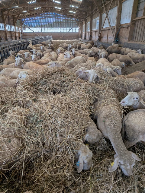 Bergerie de Kroaz Min