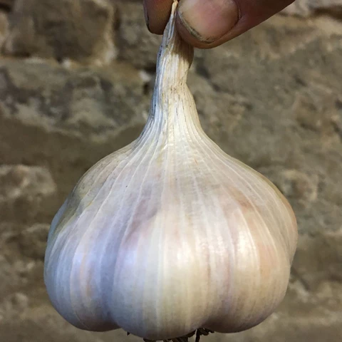 La Ferme Maraîchette