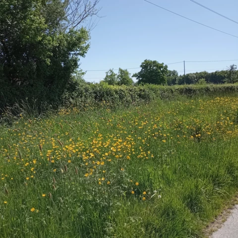 le printemps - La ferme d'Oliveau