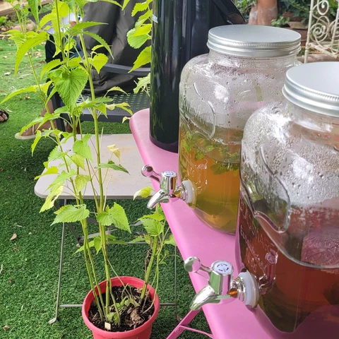 Le Rythme de ton Jardin