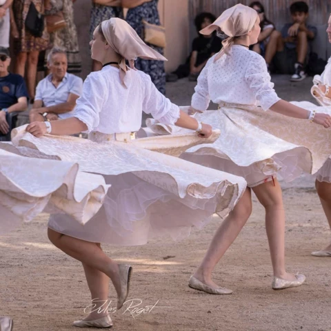 Alegria Arles-sur-Tech