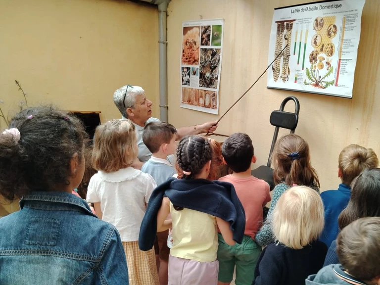 Visite pédagogique de la ruche vitrée - Le Berger des Abeilles