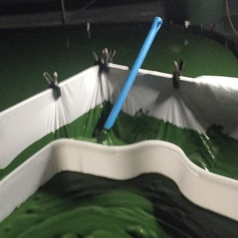 Spiruline ar milin