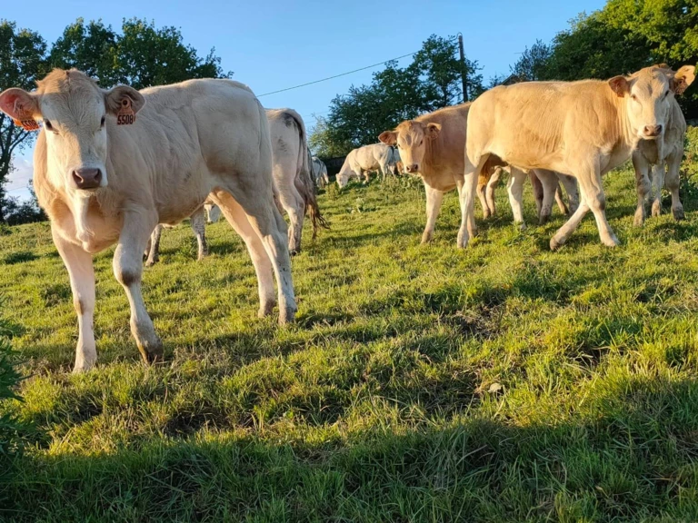 La passion de l'agriculture - LA FERME DU COUEDIC