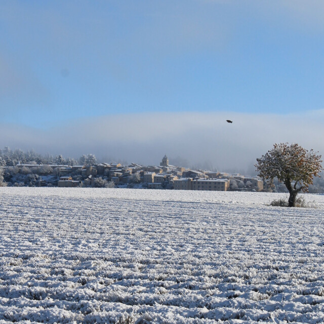 Galerie - .