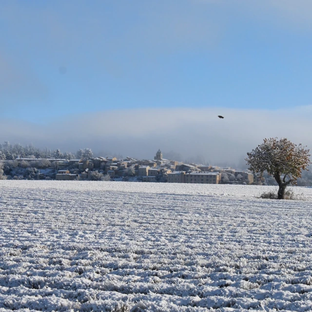 Galerie - .