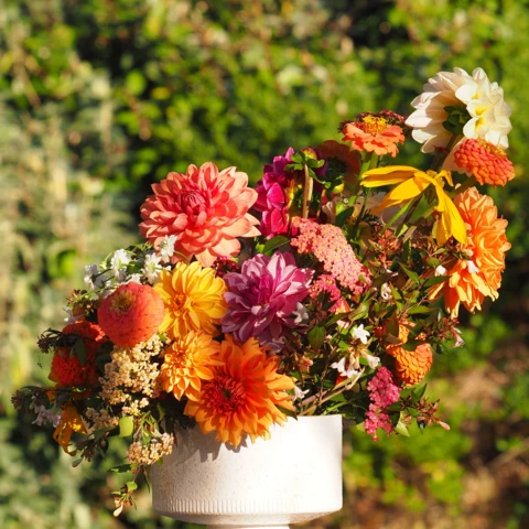 Ferme florale du Salabert