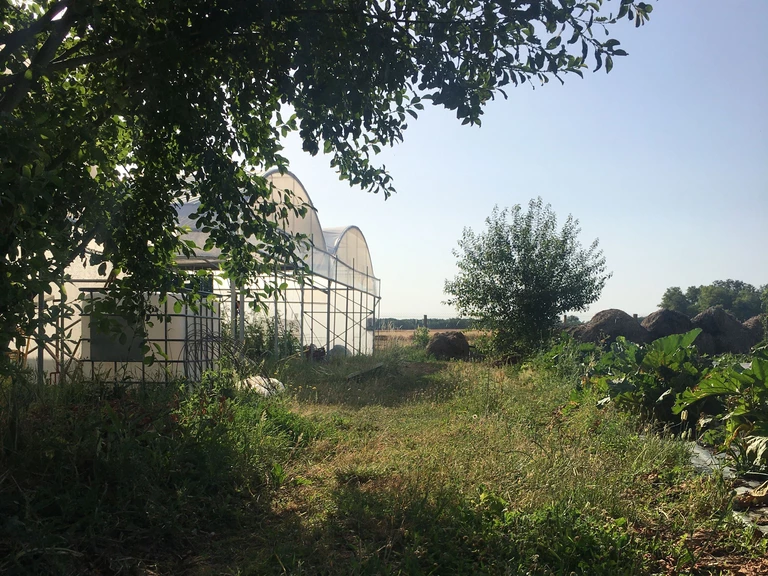 Pourquoi ? - La Ferme Maraîchette