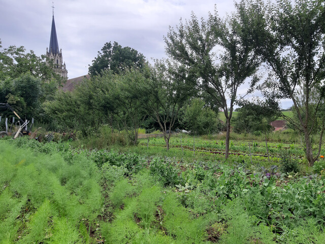 Galerie - Les jardins et la conserverie de Théophile