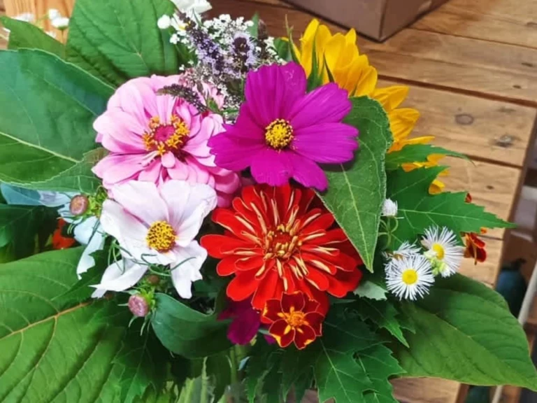 Les (super) fleurs
