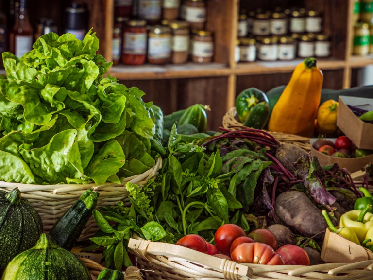 Maraîchage biologique diversifié - LA CLAIRIERE PAYSANNE