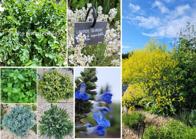 Galerie - Le Rythme de ton Jardin