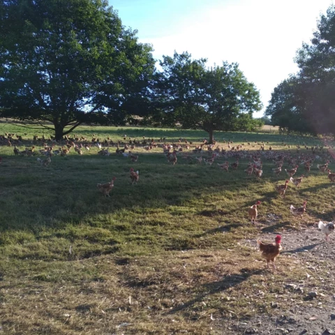 FERME DE LA BROSSE