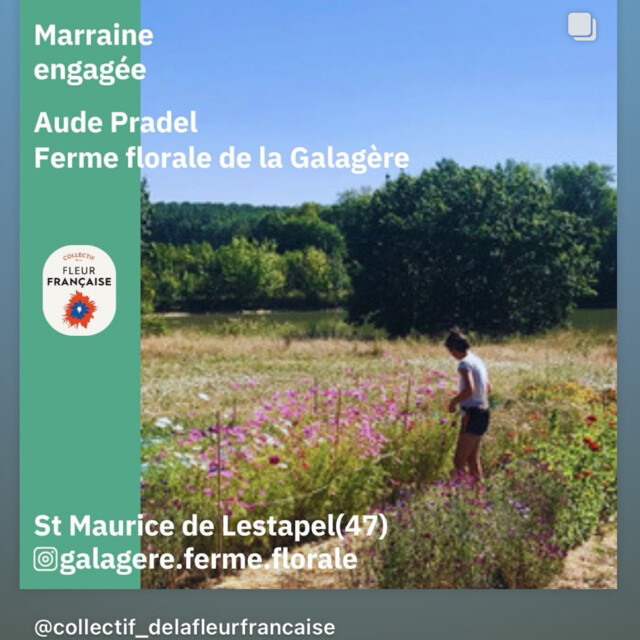 Galerie - Ferme florale de la Galagère