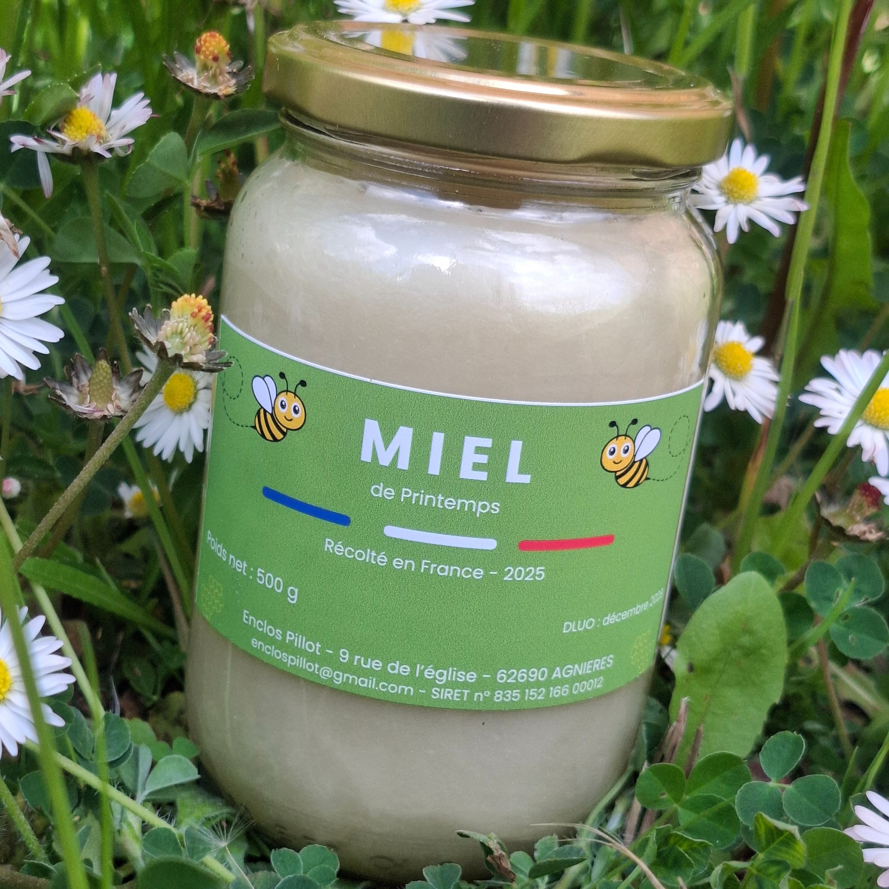 Miel de printemps - Enclos Pillot - 500g