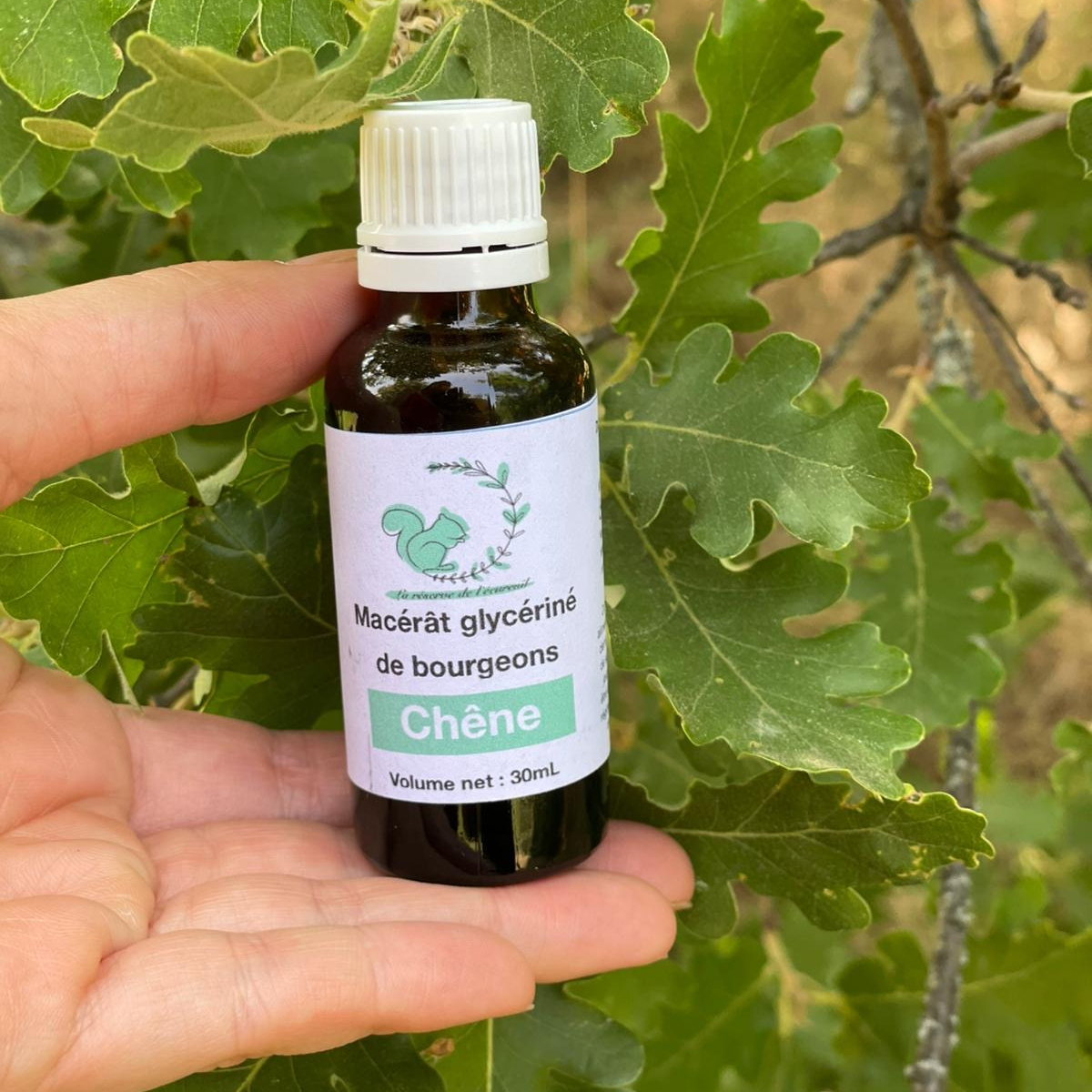 Gemmothérapie Chêne - 30ml