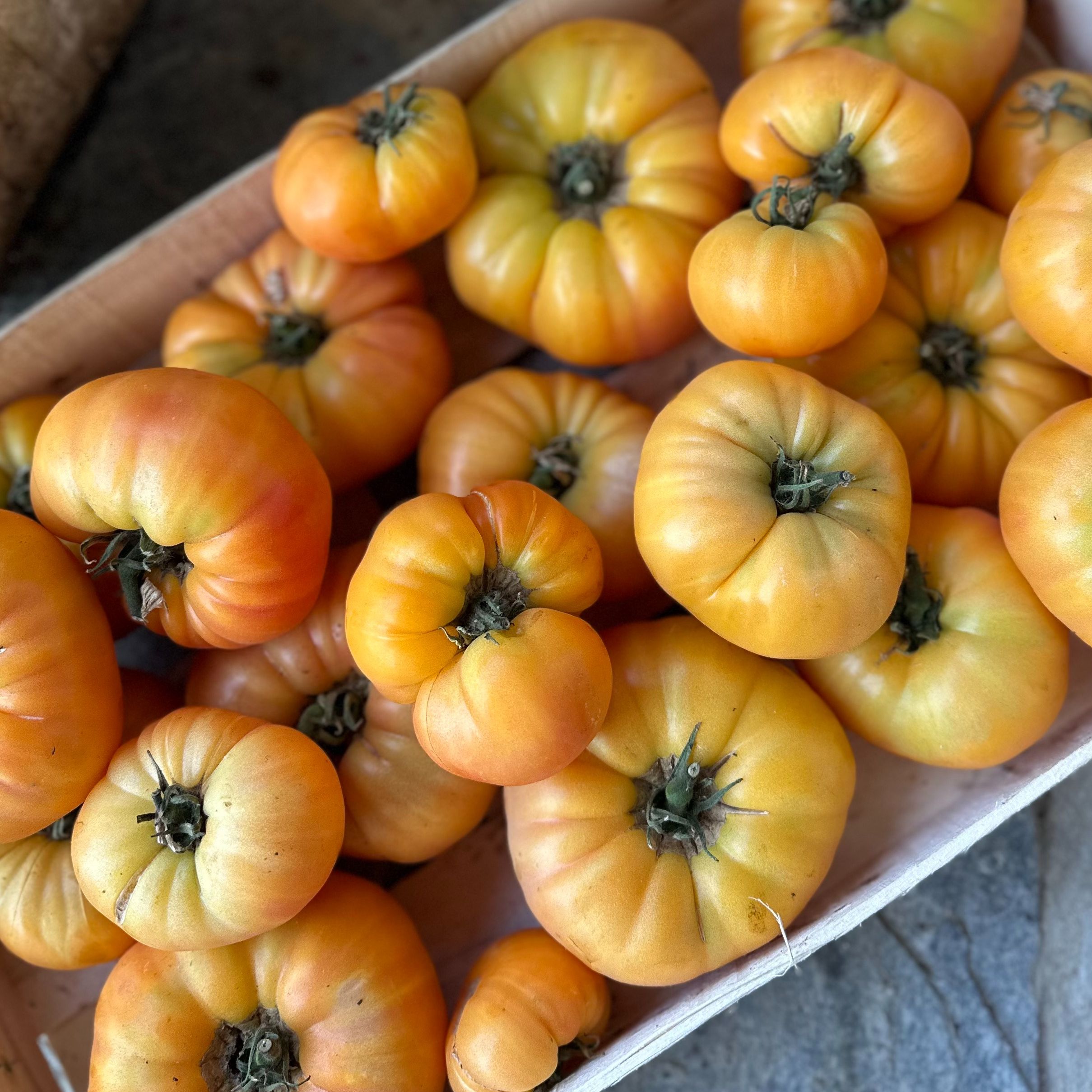 Tomates jaunes