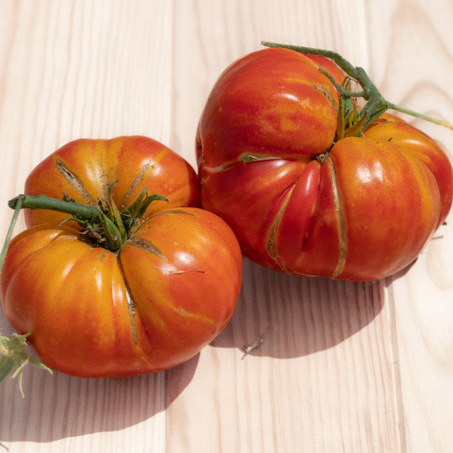 Plant de Tomate - Ananas