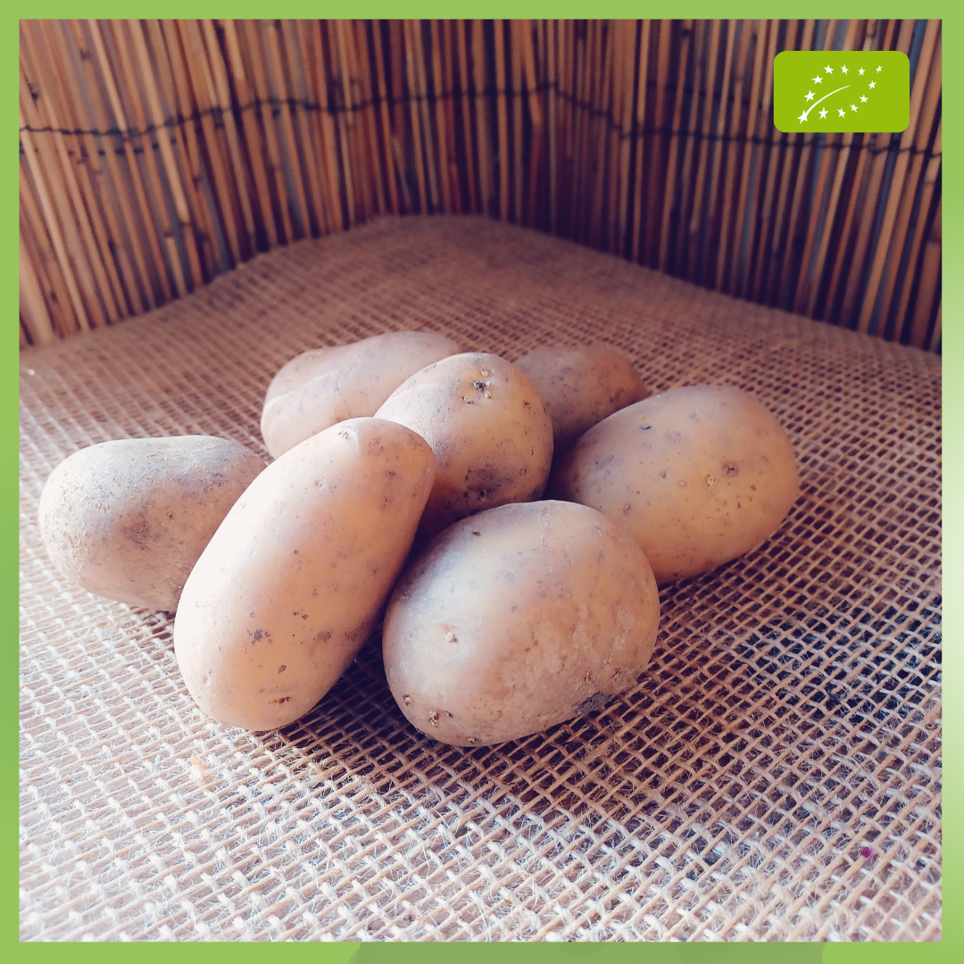 Pomme De Terre FERME Allians