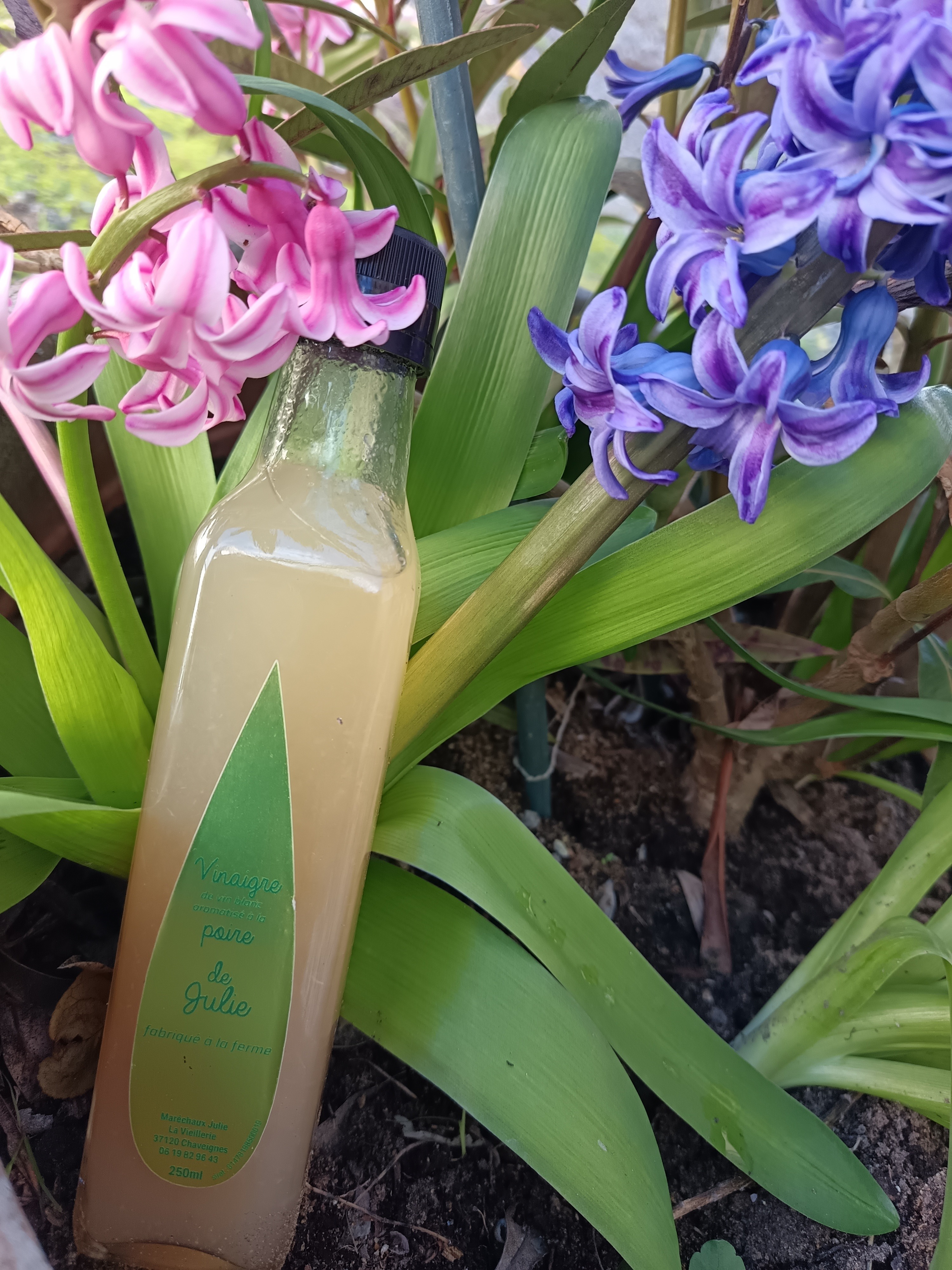 Vinaigre de vin à la Poire - 25cl