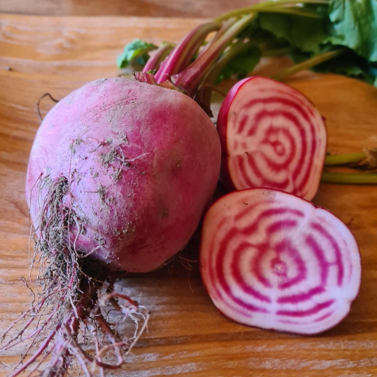 Betterave Chioggia - 500g