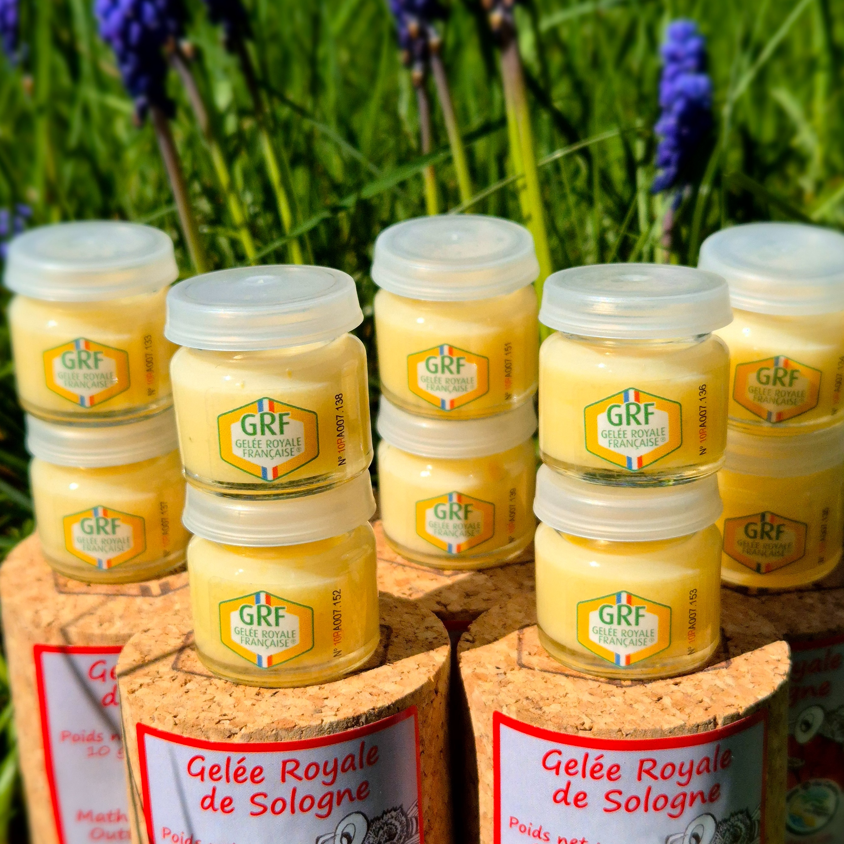 10 Pots De 10 G Dans 5 Coffrets Liège - 100g