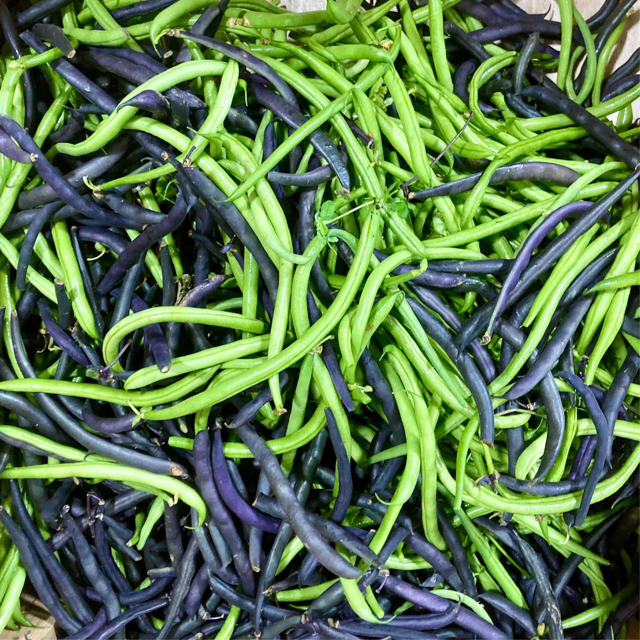 Haricot Vert (Kg)