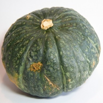 Une part de Potimarron vert (1,2-1,5kg)