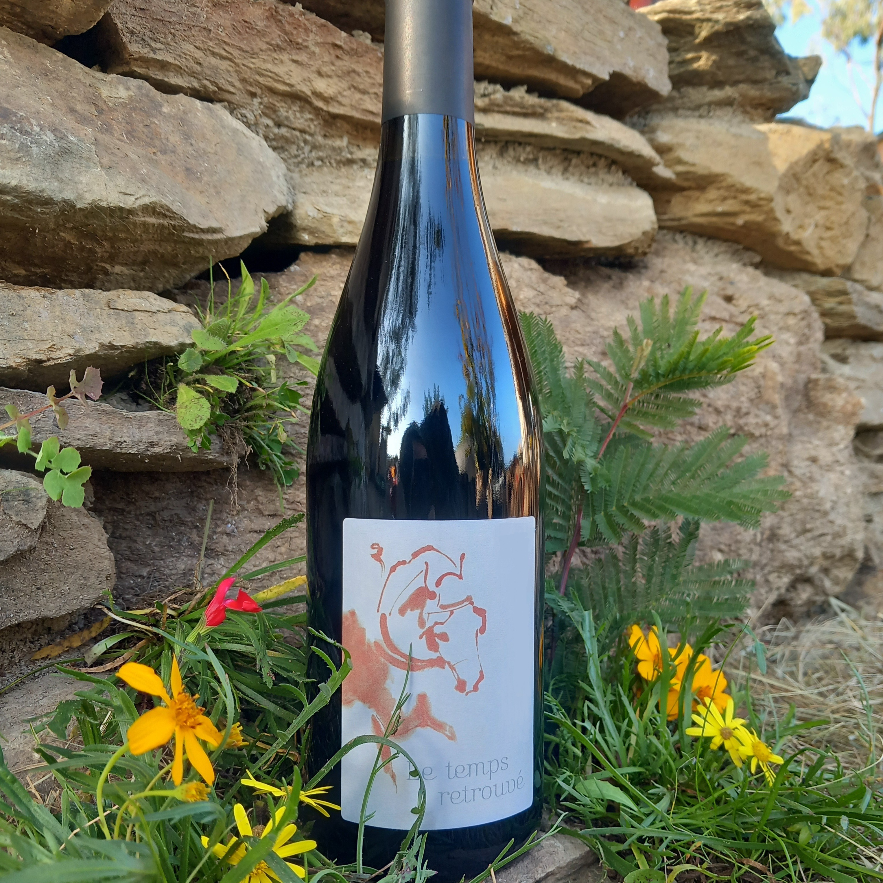 Carignan Collection Millésime 2014