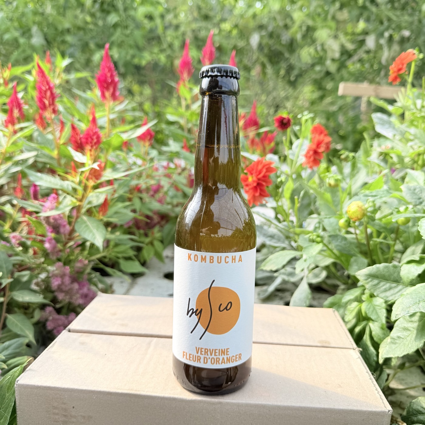 Kombucha Verveine Fleur d'Oranger Bio Bysco - 33cl