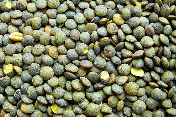 Lentilles vertes - 500g