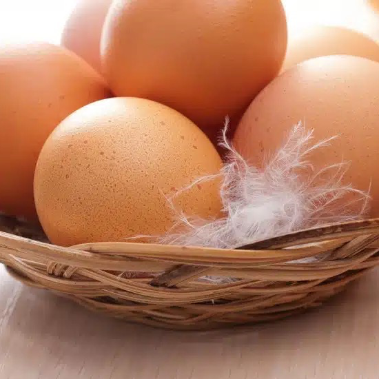 Boite de 12 Oeufs Frais Plein Air