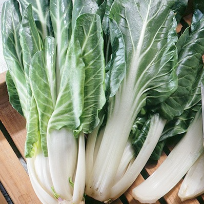 Cœur de côte de blettes Bio