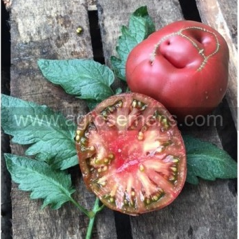 Plant Tomate Brandywine - 300g