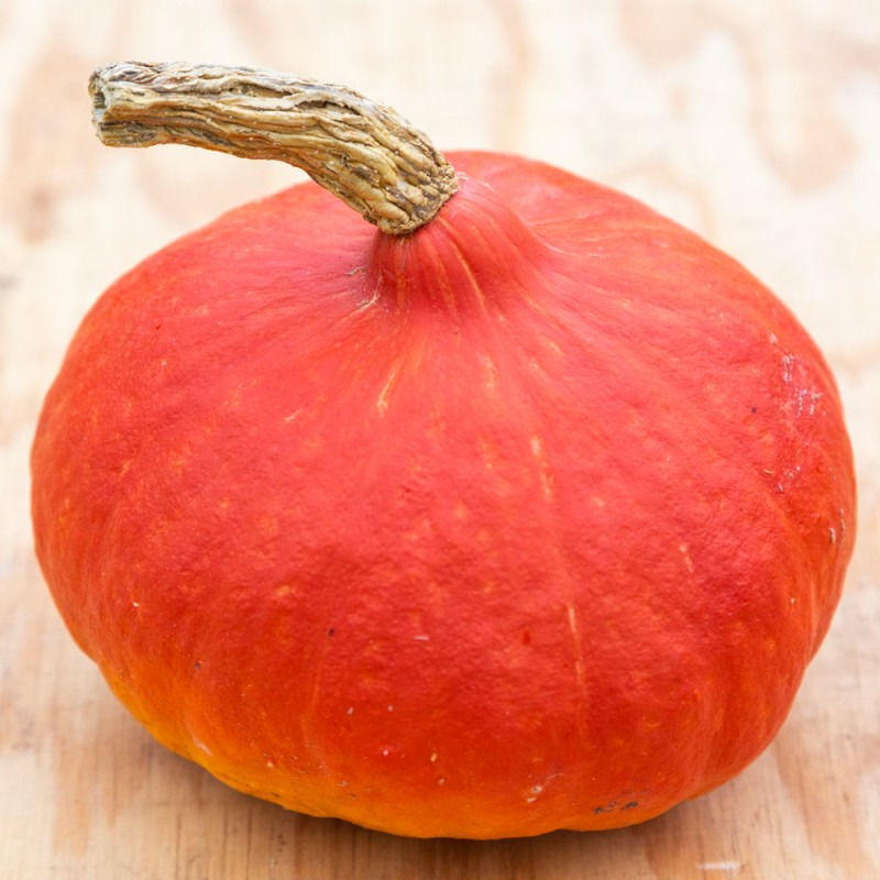 Courge Potimarron B - 1kg
