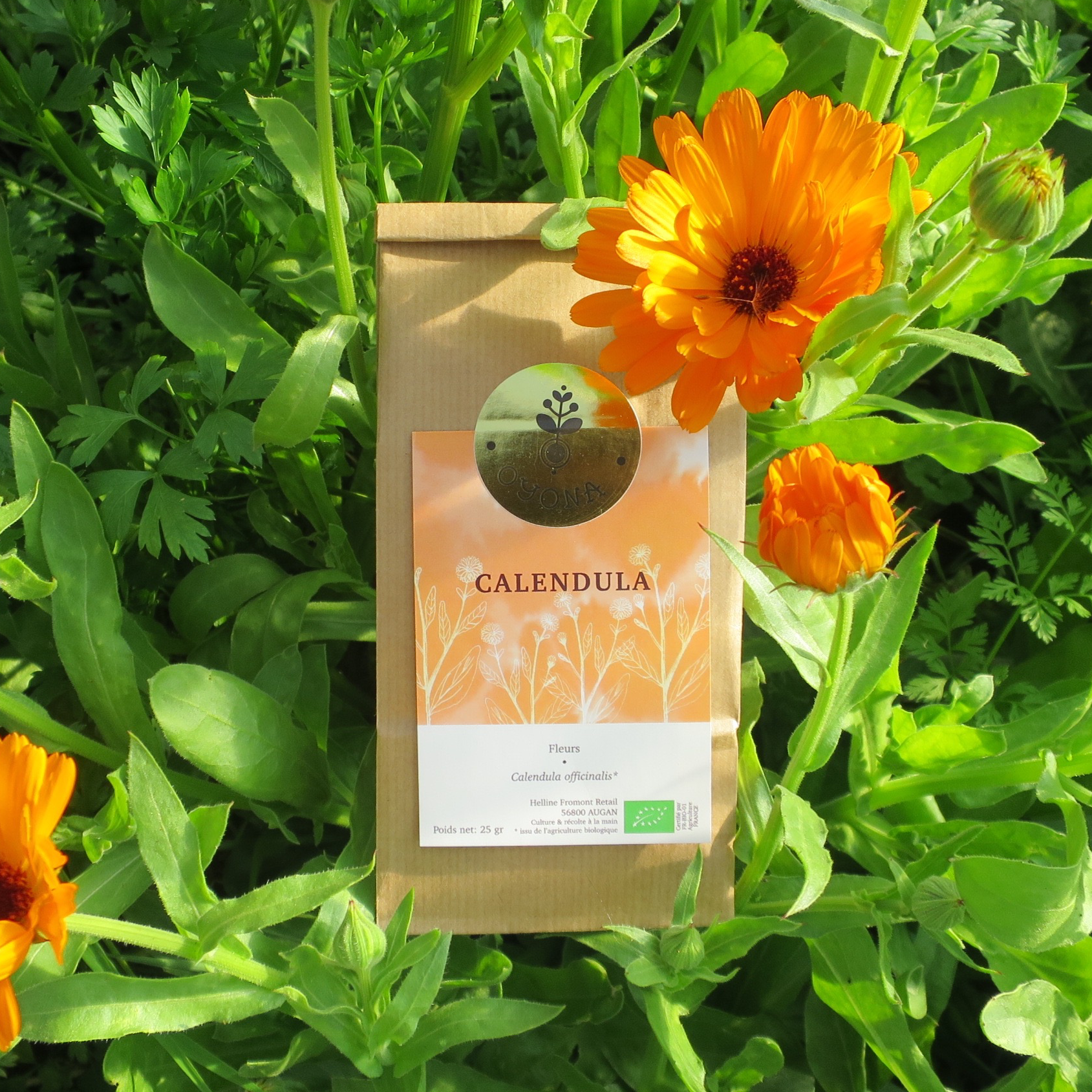 Calendula - 25g