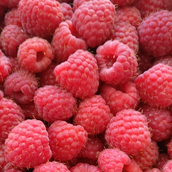 Framboise - 100g