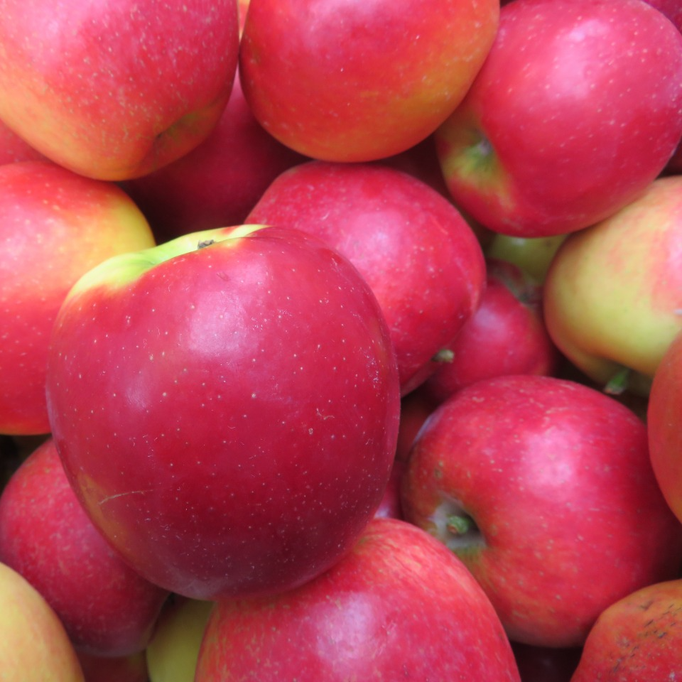 Pomme Crimson (Petites) - 800g