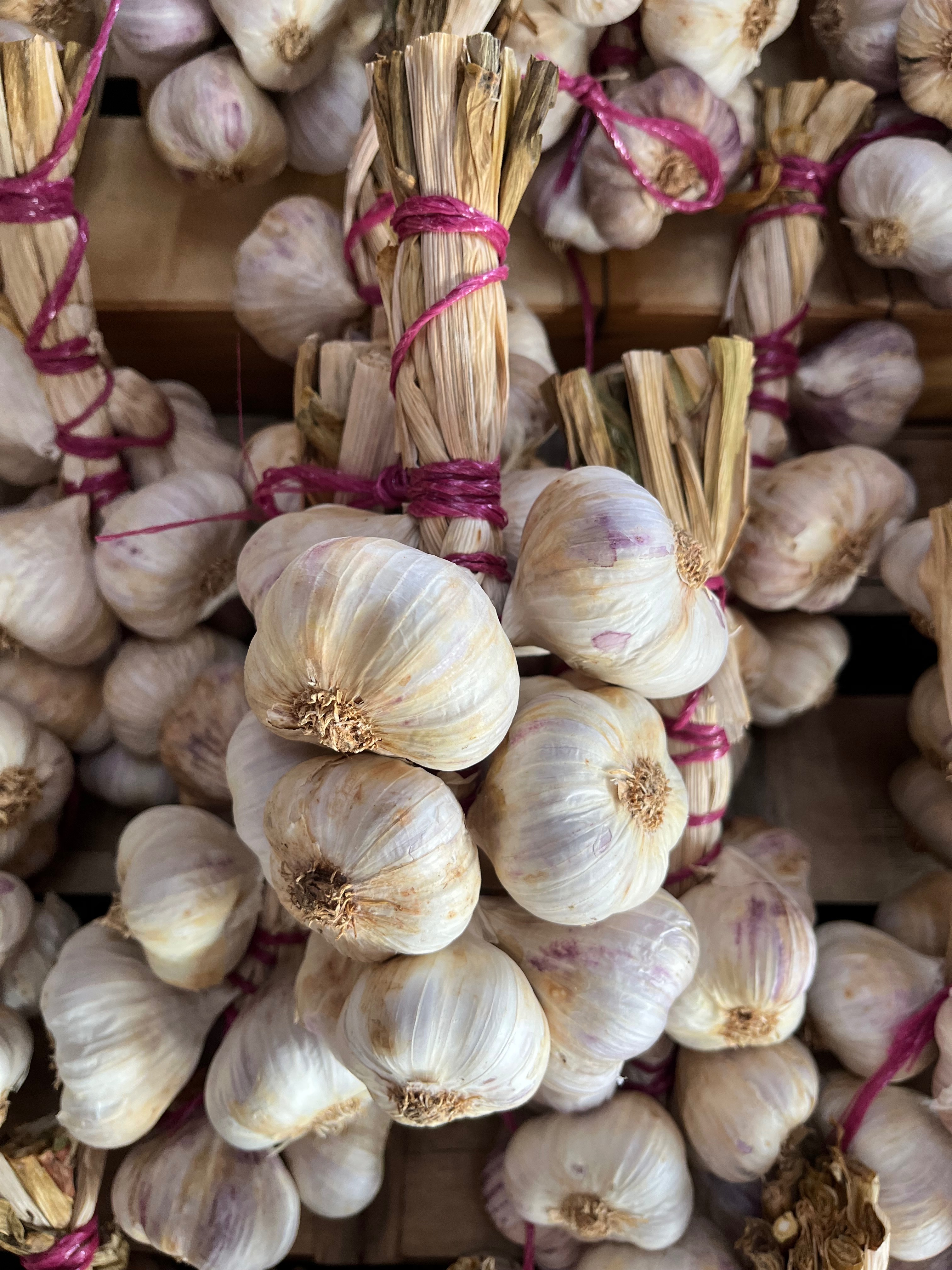 AIL VIOLET MANOUILLE 500G