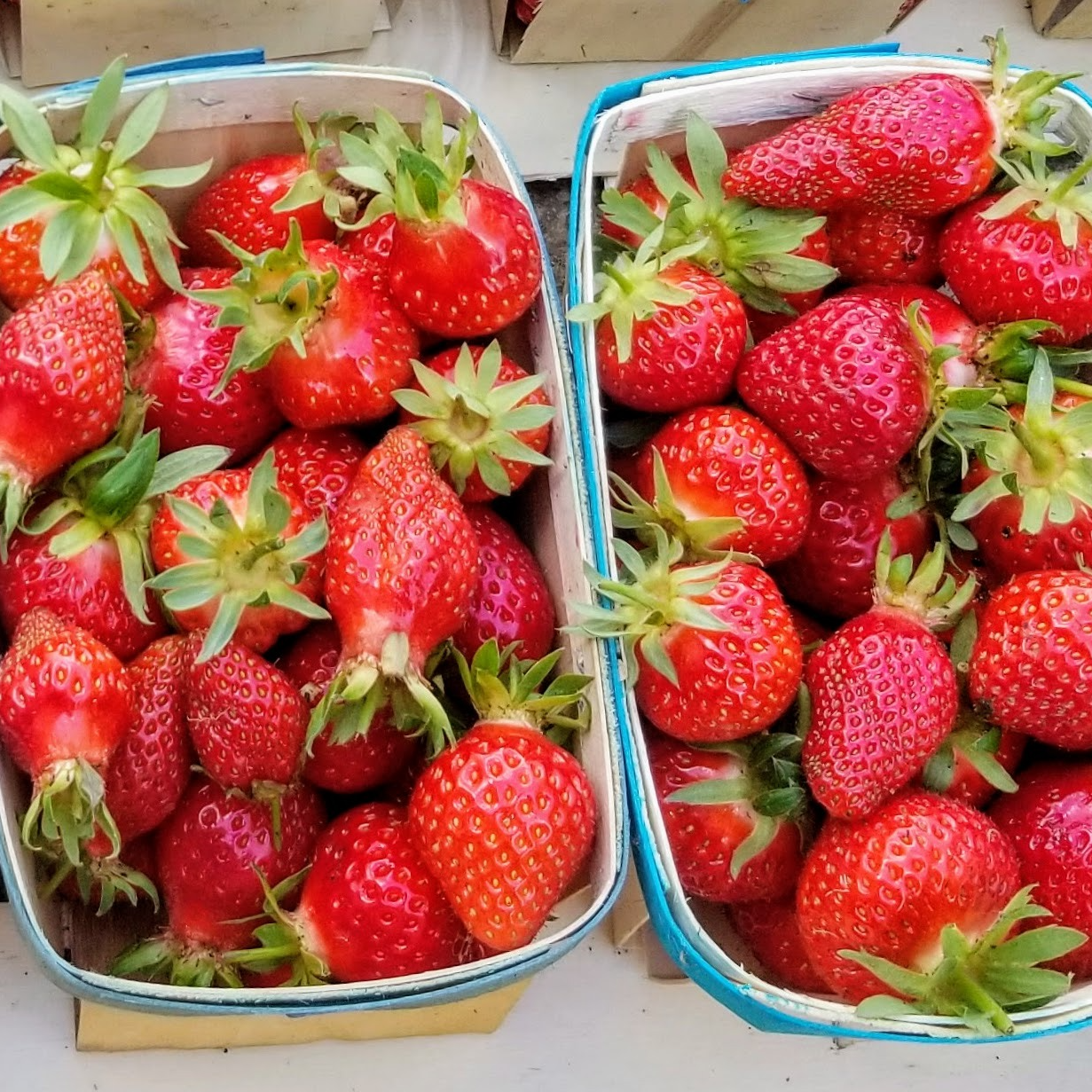 Fraise - 1 barquette de 250g - 250g