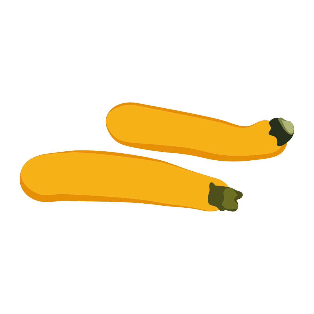 Courgette jaune