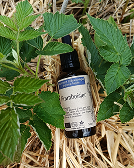 Alcoolature Framboisier - 50ml