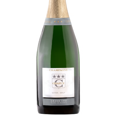 Champagne extra brut blanc de blancs grand cru - 0,75l