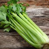 Céleri Branche (pièce)