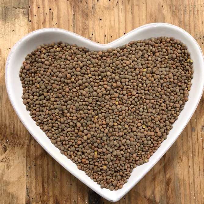 LENTILLES BLONDES - 500g