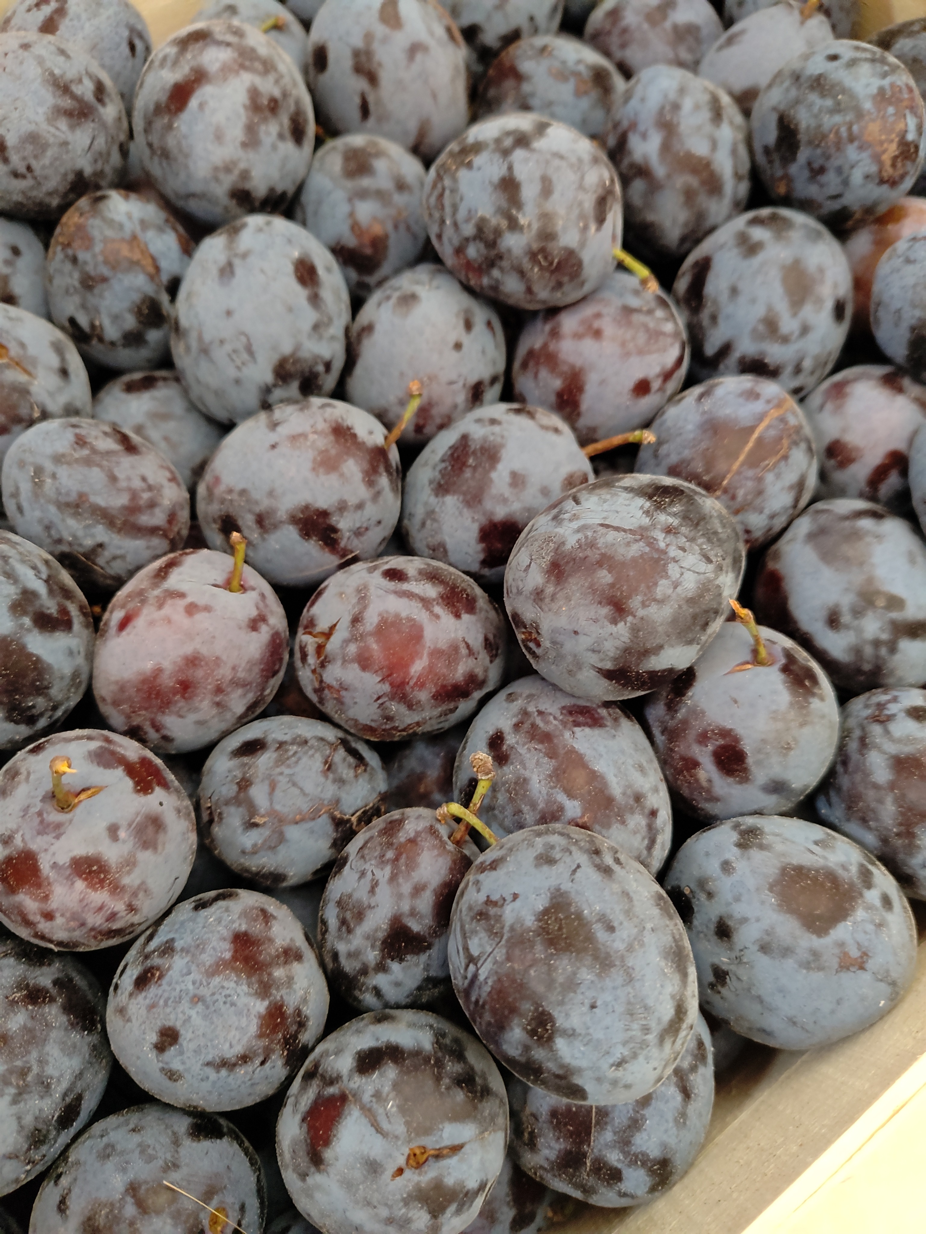 Prune violette
