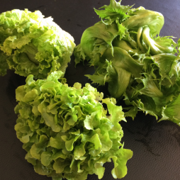 .Salade verte